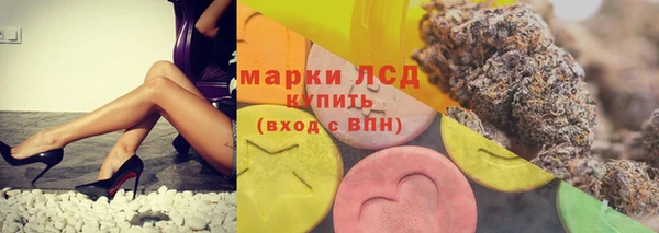 гидра Елизово