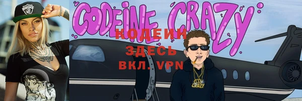 гидра Елизово