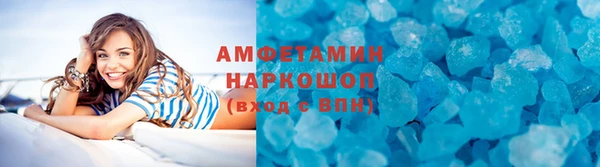 гидра Елизово