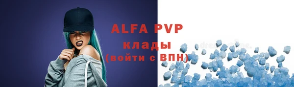 гидра Елизово