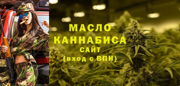 гидра Елизово