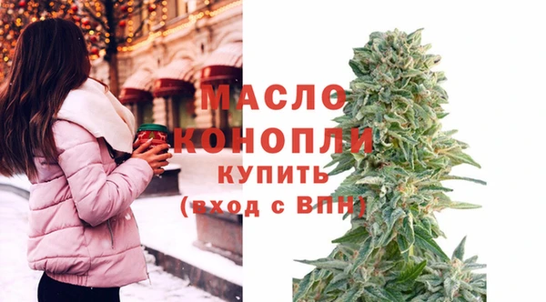 гидра Елизово