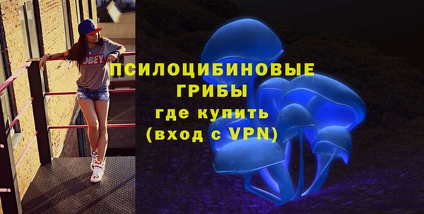 мяу мяу кристалл Ельня