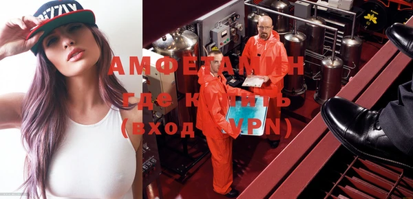 гидра Елизово