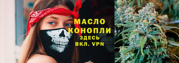гидра Елизово