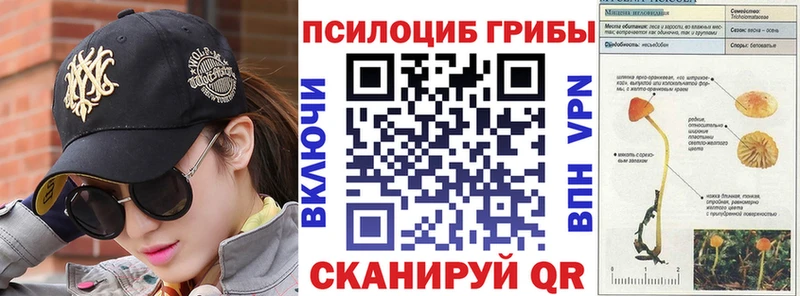 Псилоцибиновые грибы Psilocybe  где купить наркоту  Рузаевка 