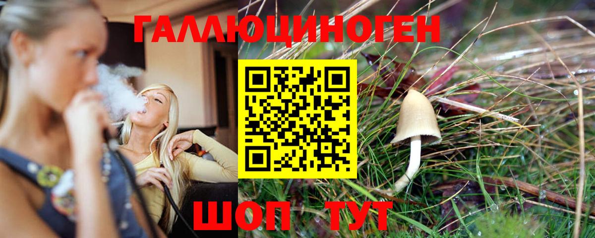 купить наркотик  Псилоцибиновые грибы ЛСД  Вход с VPN  Рузаевка 