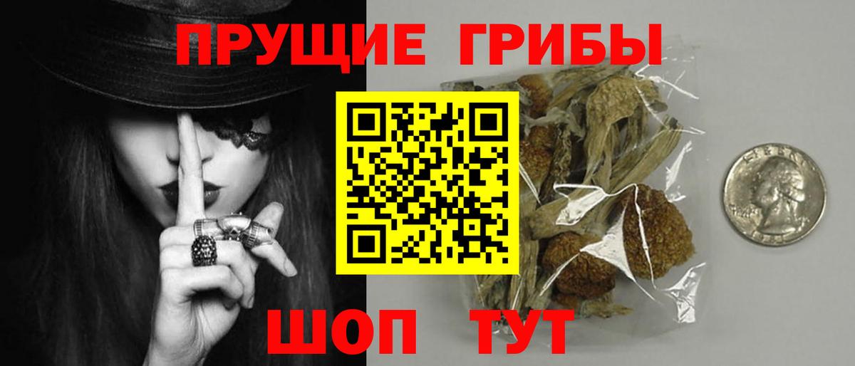 Псилоцибиновые грибы мухоморы Рузаевка